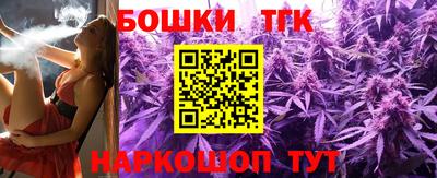 гашик Дубна