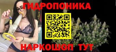гашик Дубна