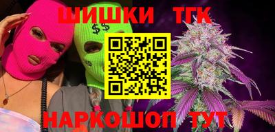 гашик Дубна